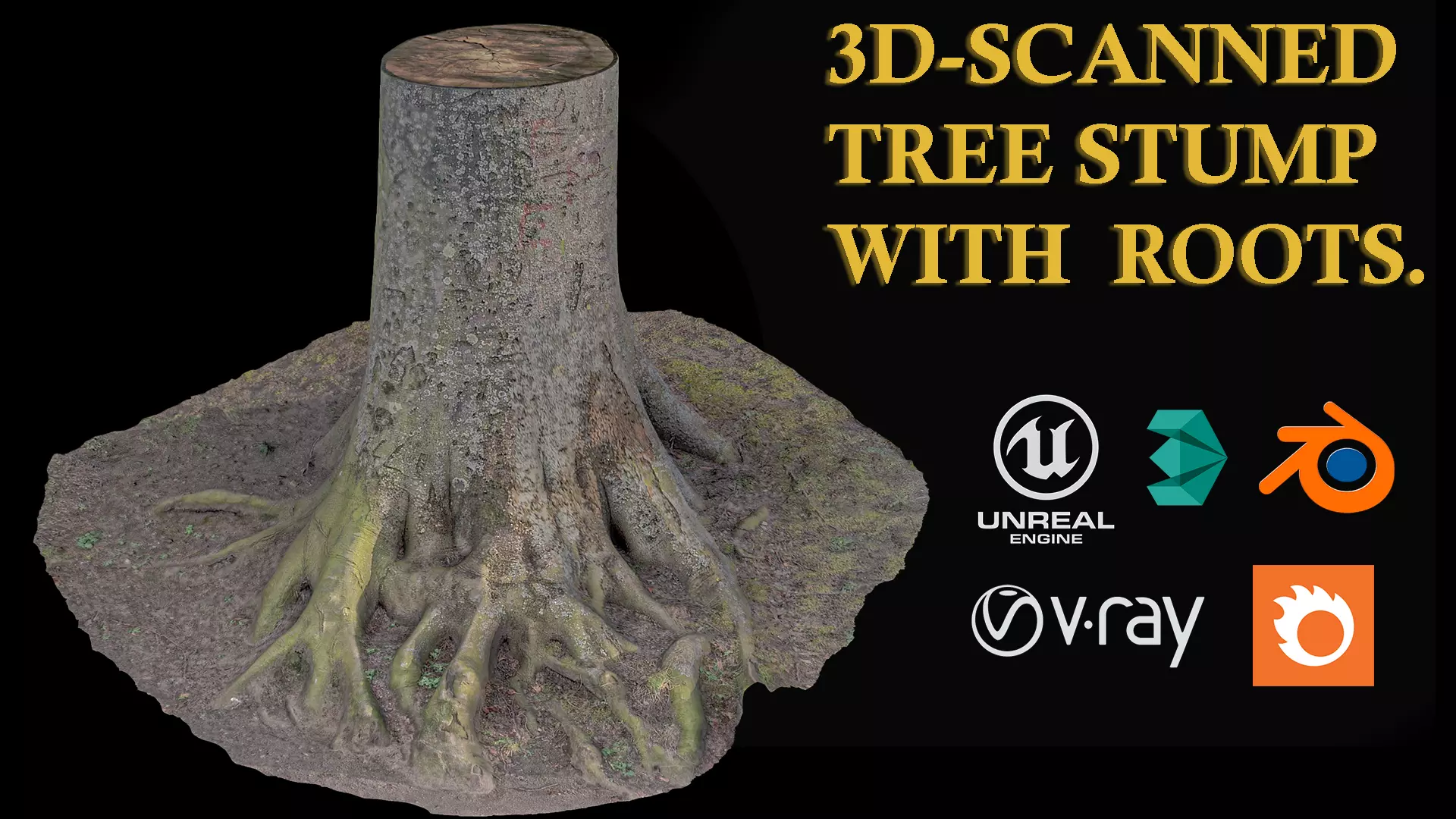 stump tree with roots Low-poly 3D model_0