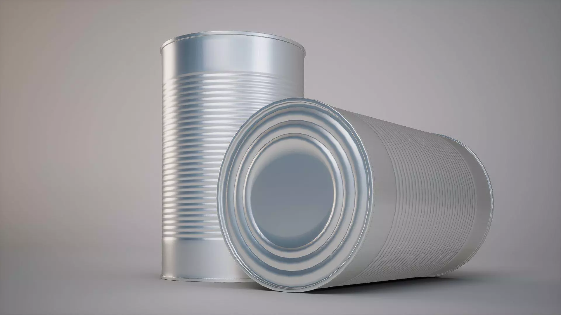 canned Low-poly 3D model