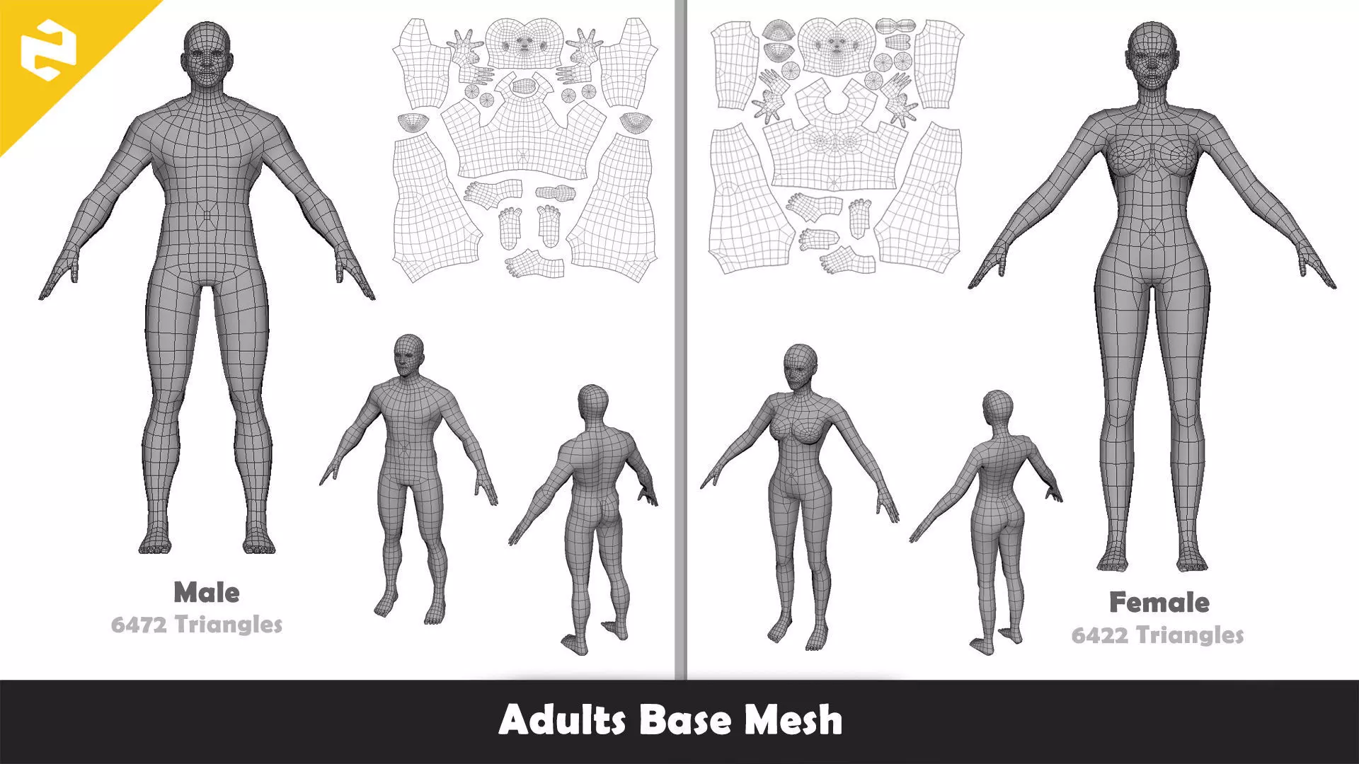 Base Mesh Pack - Character Collection Low-poly 3D model_16