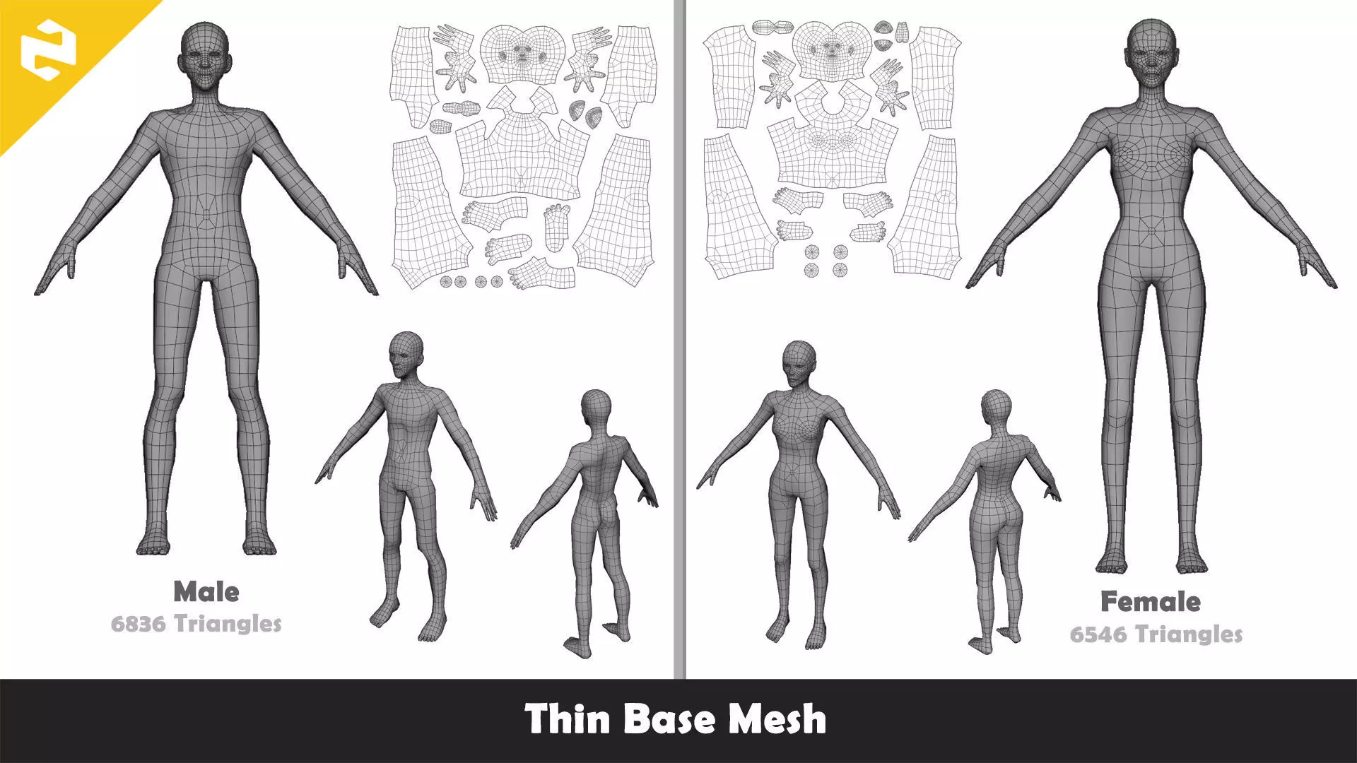 Base Mesh Pack - Character Collection Low-poly 3D model_27