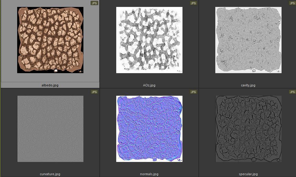 Desert Dry Ground Scan 3D model_3
