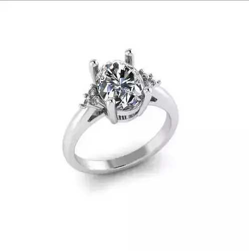 Ring Model 7242