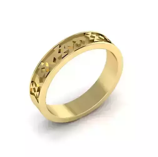 Ring Model 7208