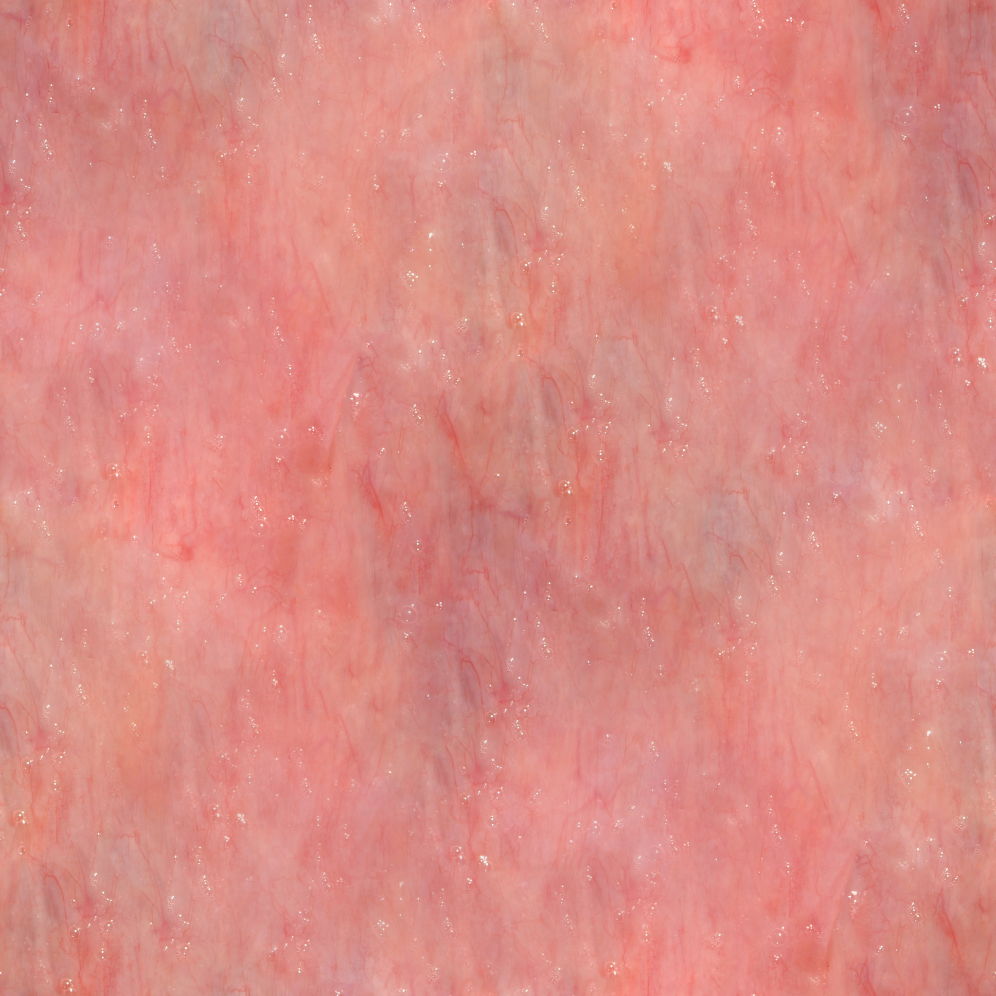 Legend creature Low-poly 3D model_50