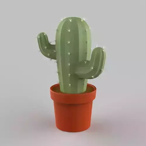 Cactus 