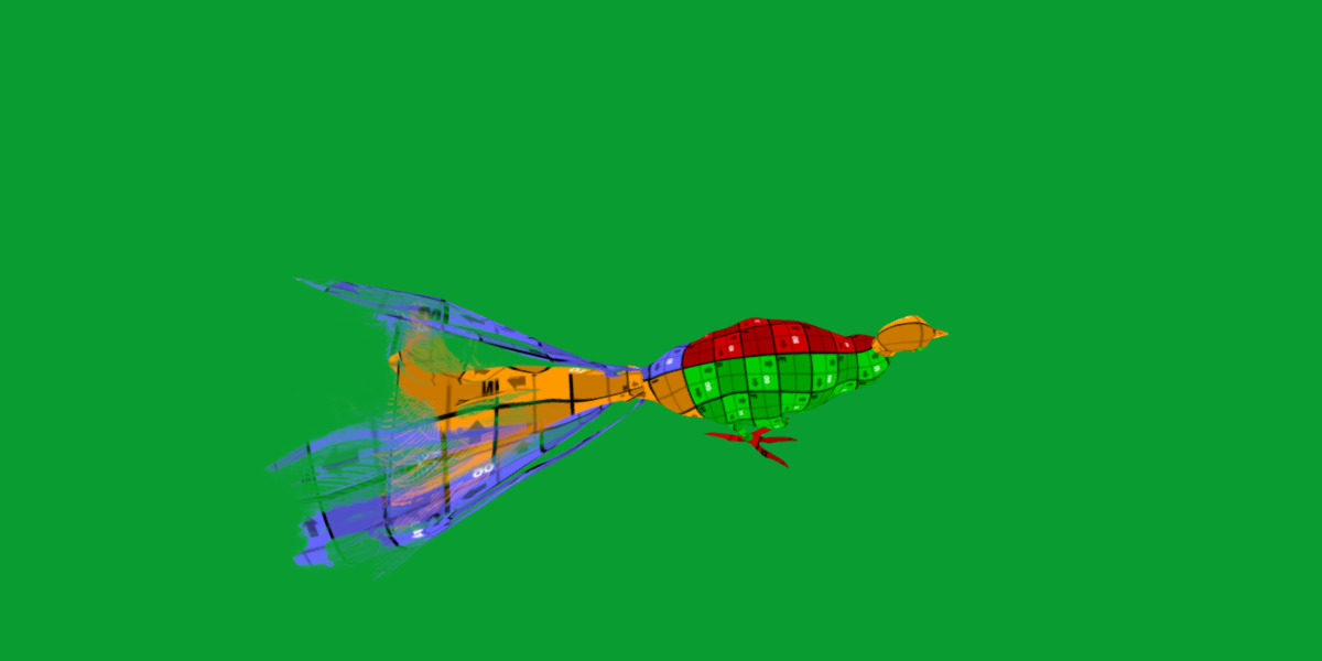 Lyrebird Low-poly 3D model_35