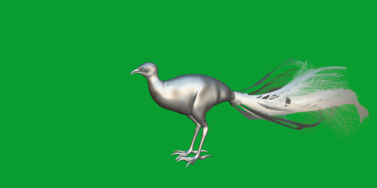 Lyrebird Low-poly 3D model_25