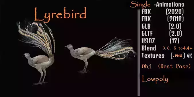 Lyrebird Low-poly 3D model