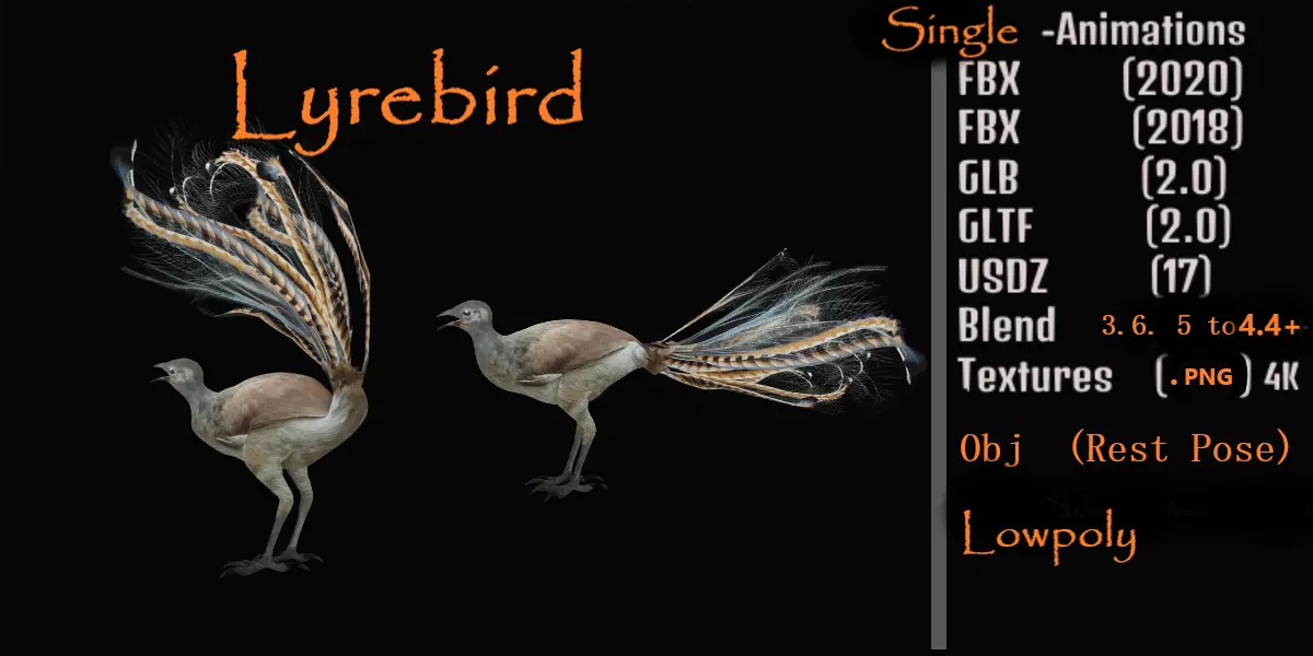 Lyrebird Low-poly 3D model_0