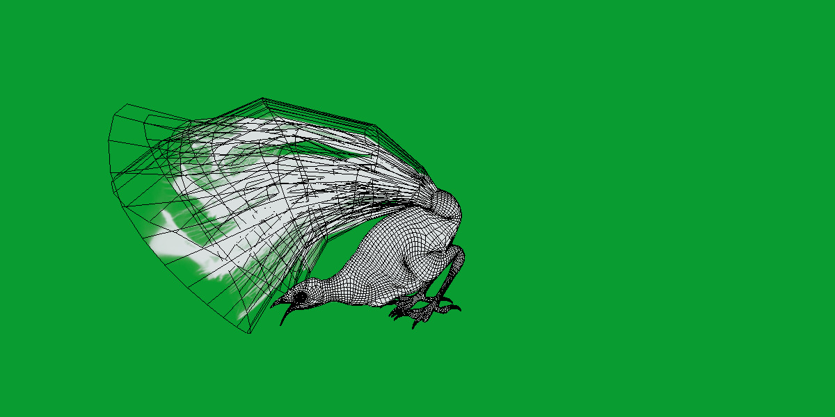 Lyrebird Low-poly 3D model_30