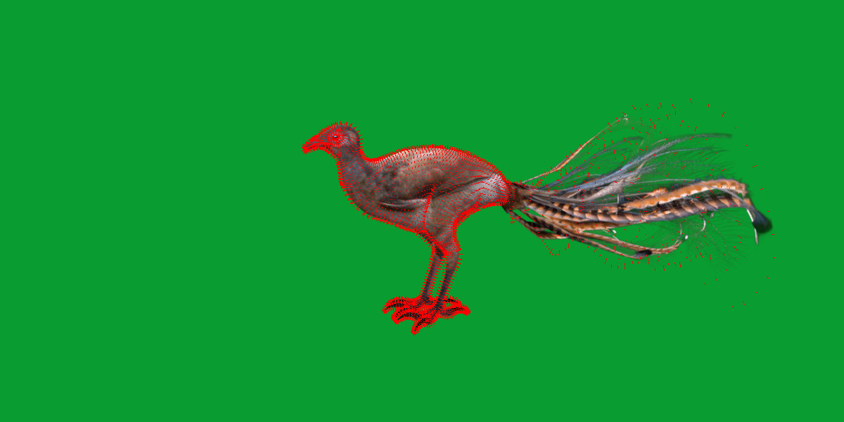Lyrebird Low-poly 3D model_32