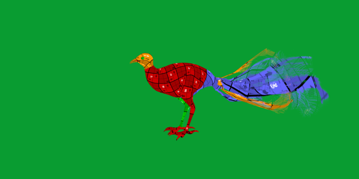 Lyrebird Low-poly 3D model_33