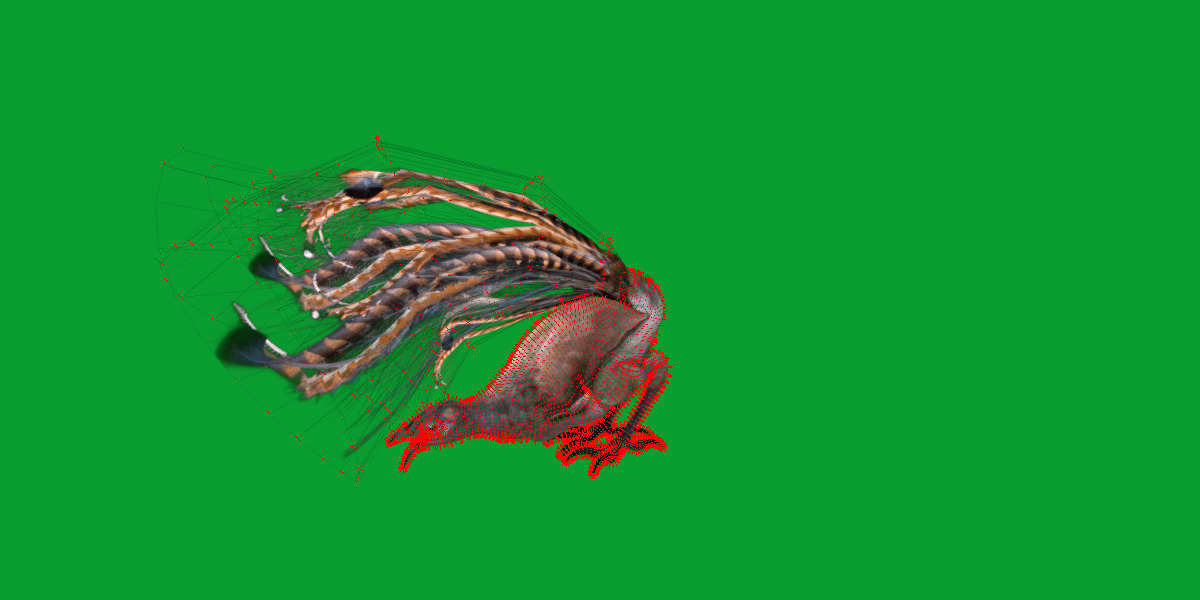 Lyrebird Low-poly 3D model_31