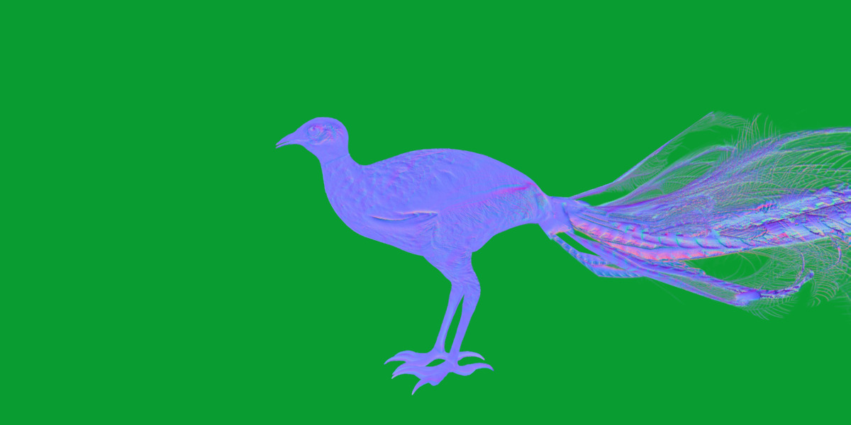 Lyrebird Low-poly 3D model_19