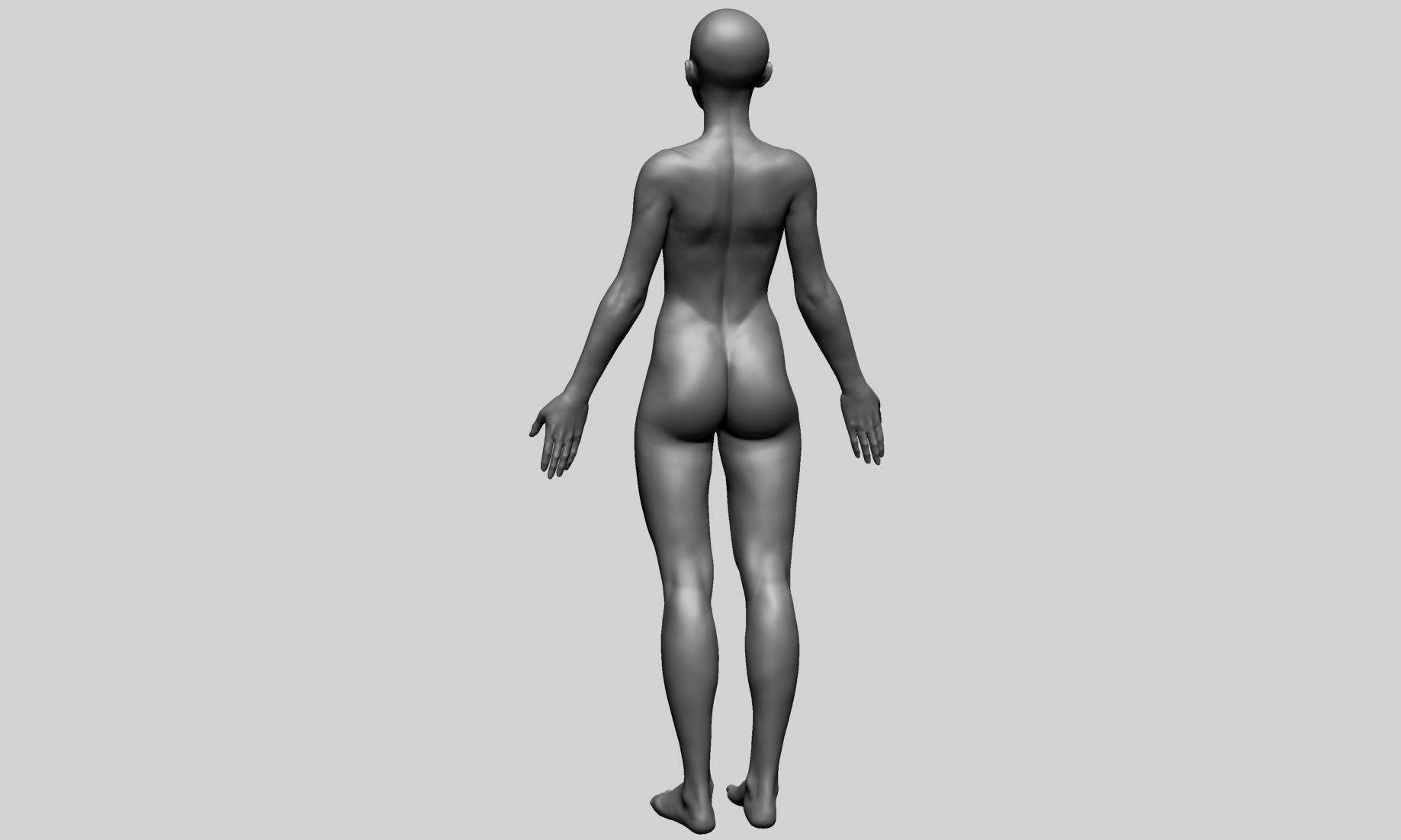 Human Anatomy - Female A 3D model_5
