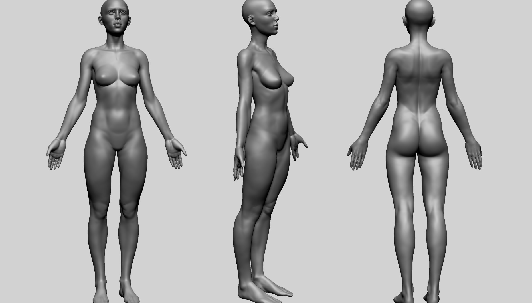Human Anatomy - Female A 3D model_1