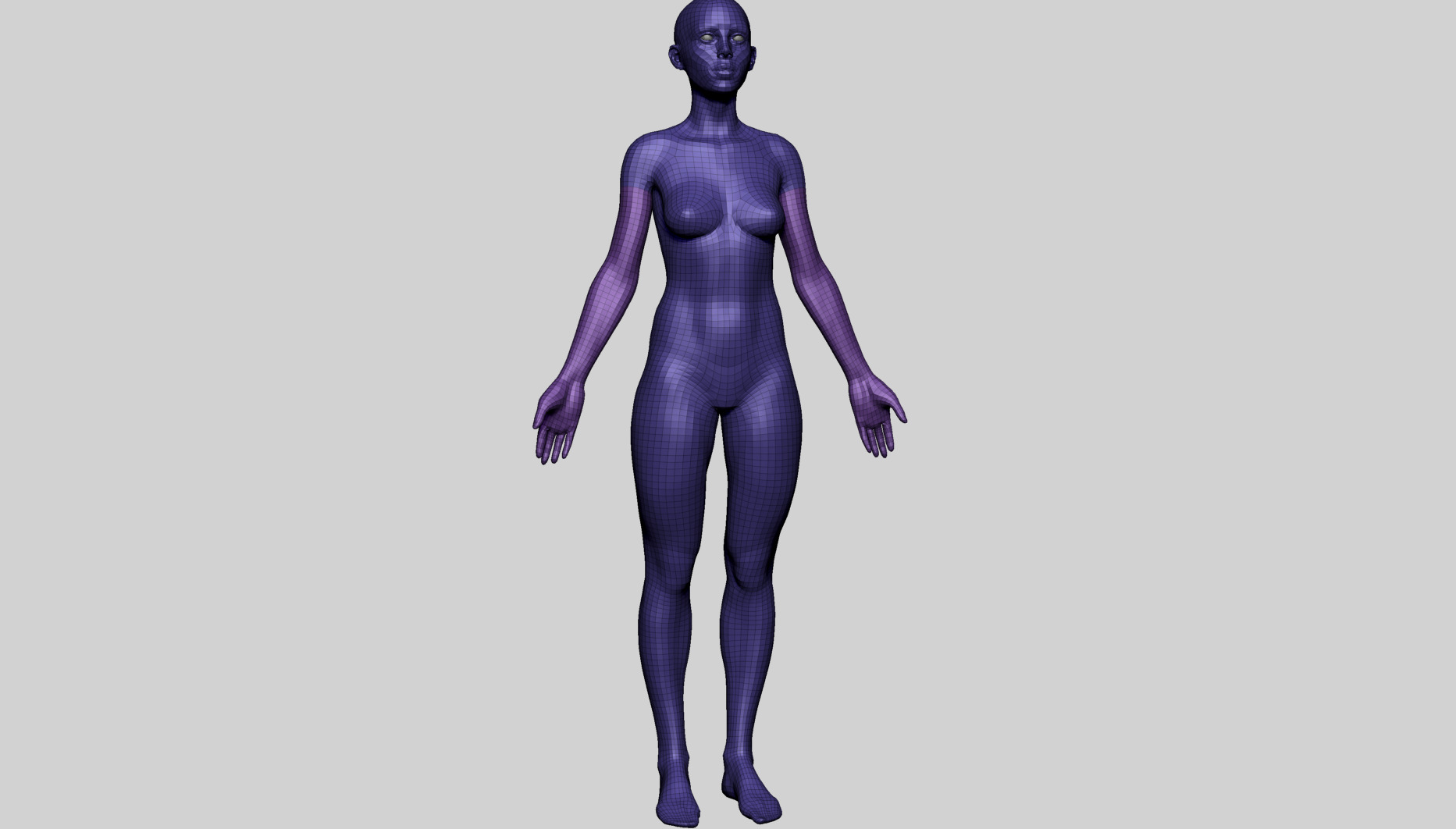 Human Anatomy - Female A 3D model_12