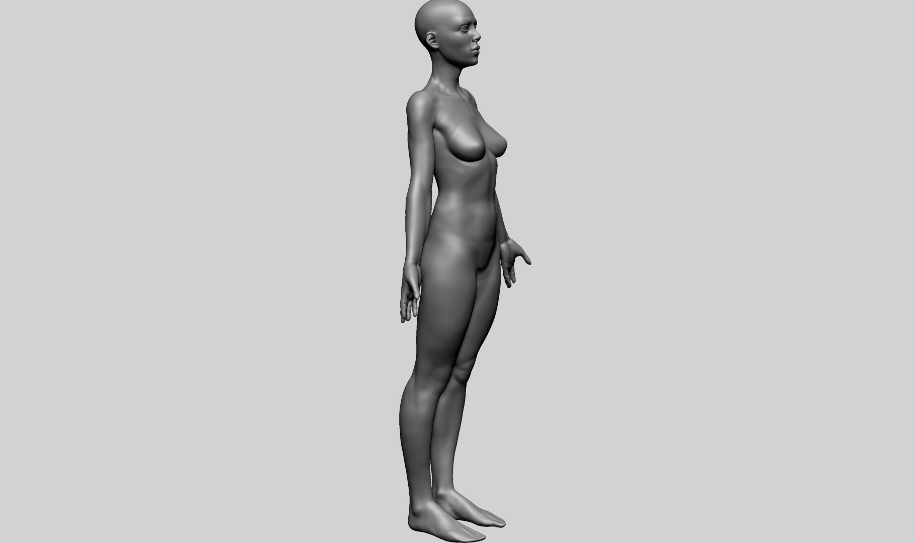 Human Anatomy - Female A 3D model_4