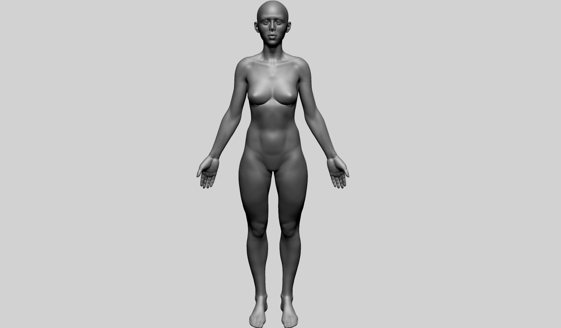 Human Anatomy - Female A 3D model_7