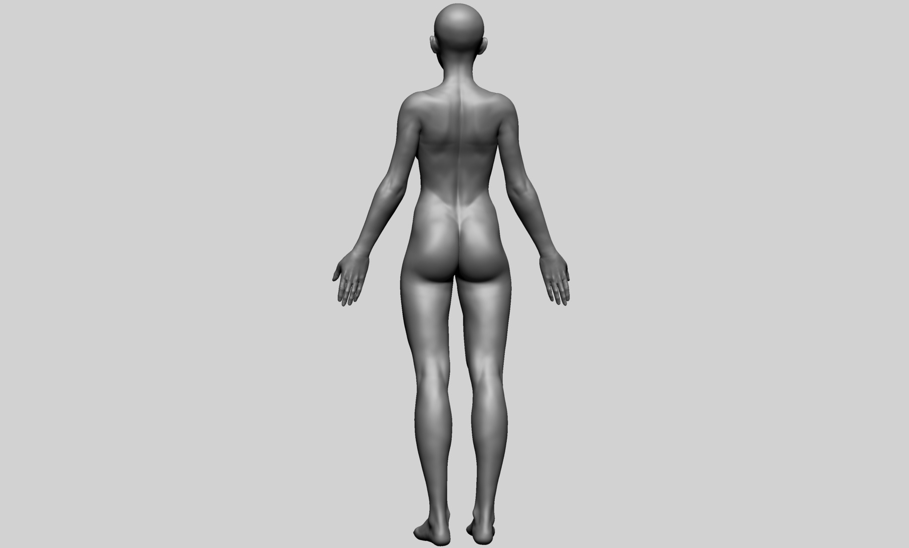 Human Anatomy - Female A 3D model_3