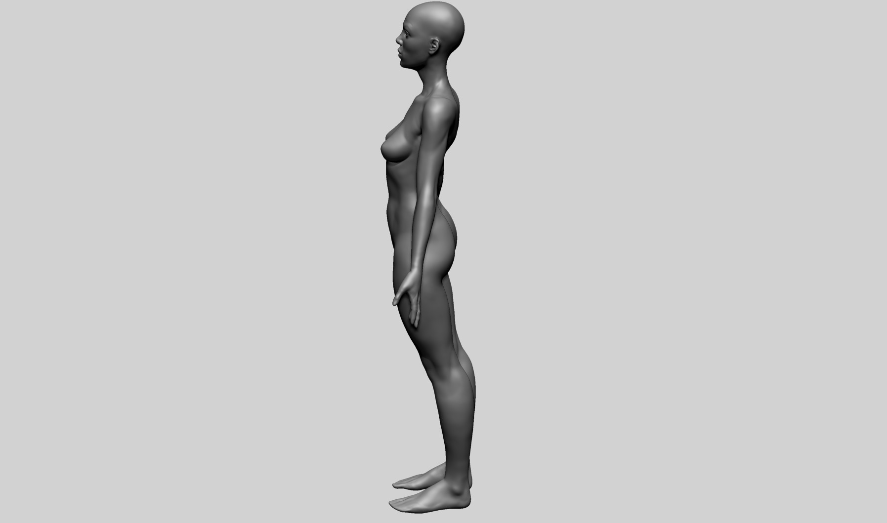 Human Anatomy - Female A 3D model_6
