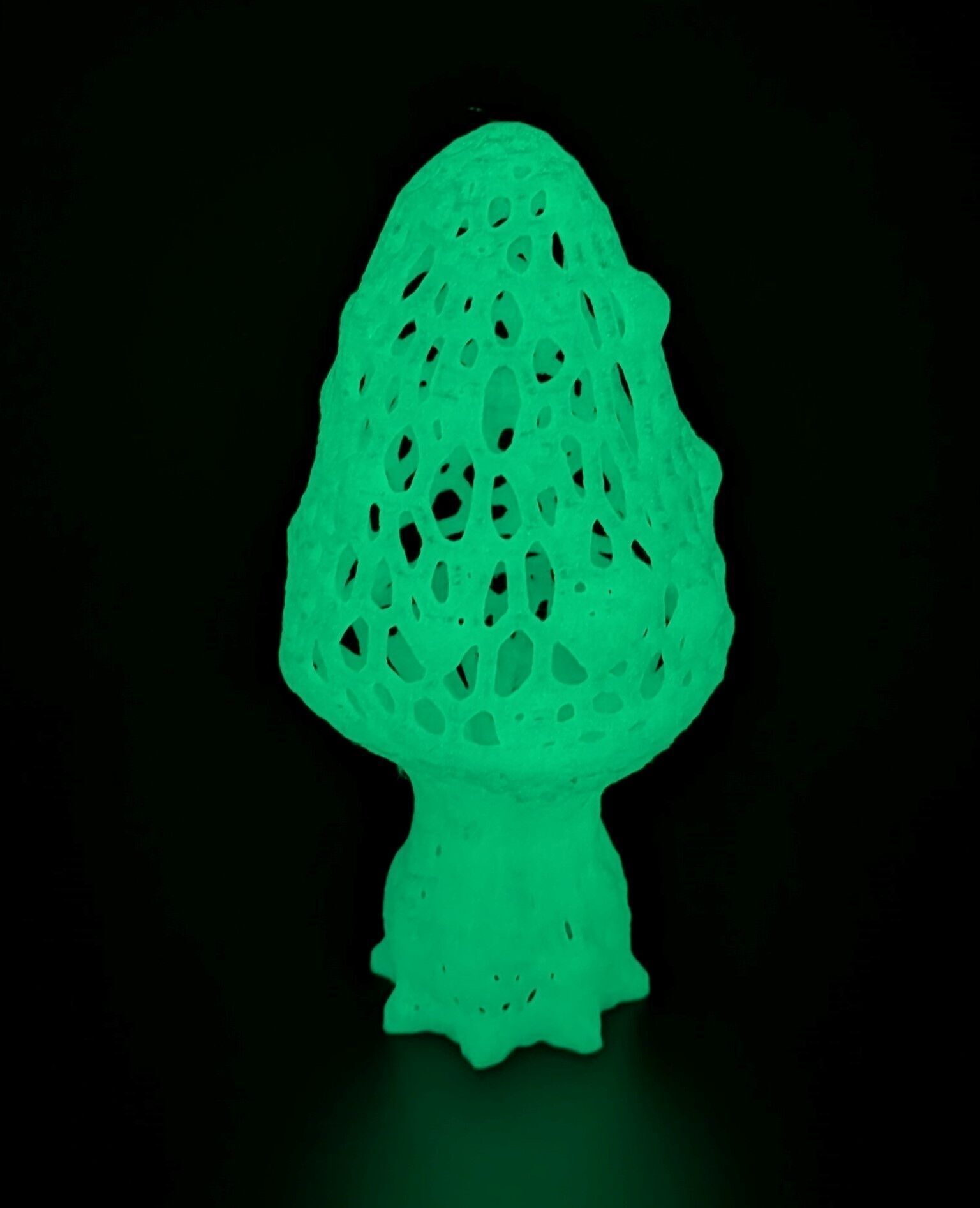 Alien mushroom plant 3D print model_19