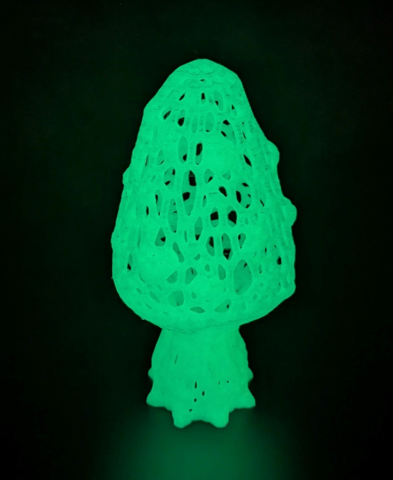 Alien mushroom plant 3D print model_18