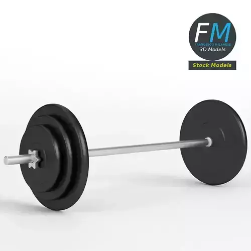 Gym equipment plate and bar