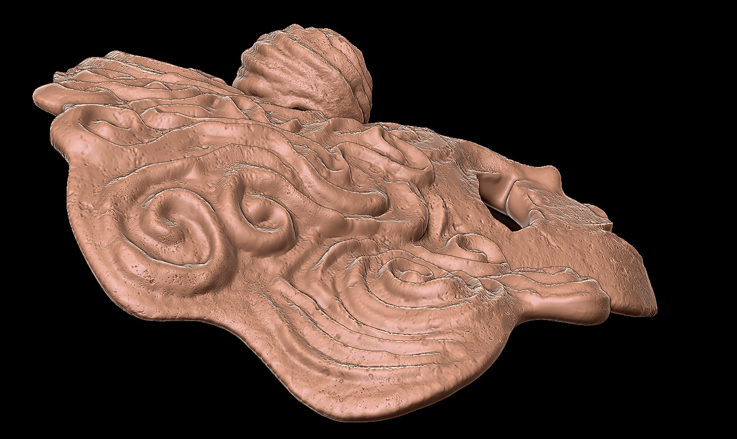 MASK OF THE CHILD - DARK SOULS 1 - WALL DISPLAY AND COSPLAY PROP 3D print model_5