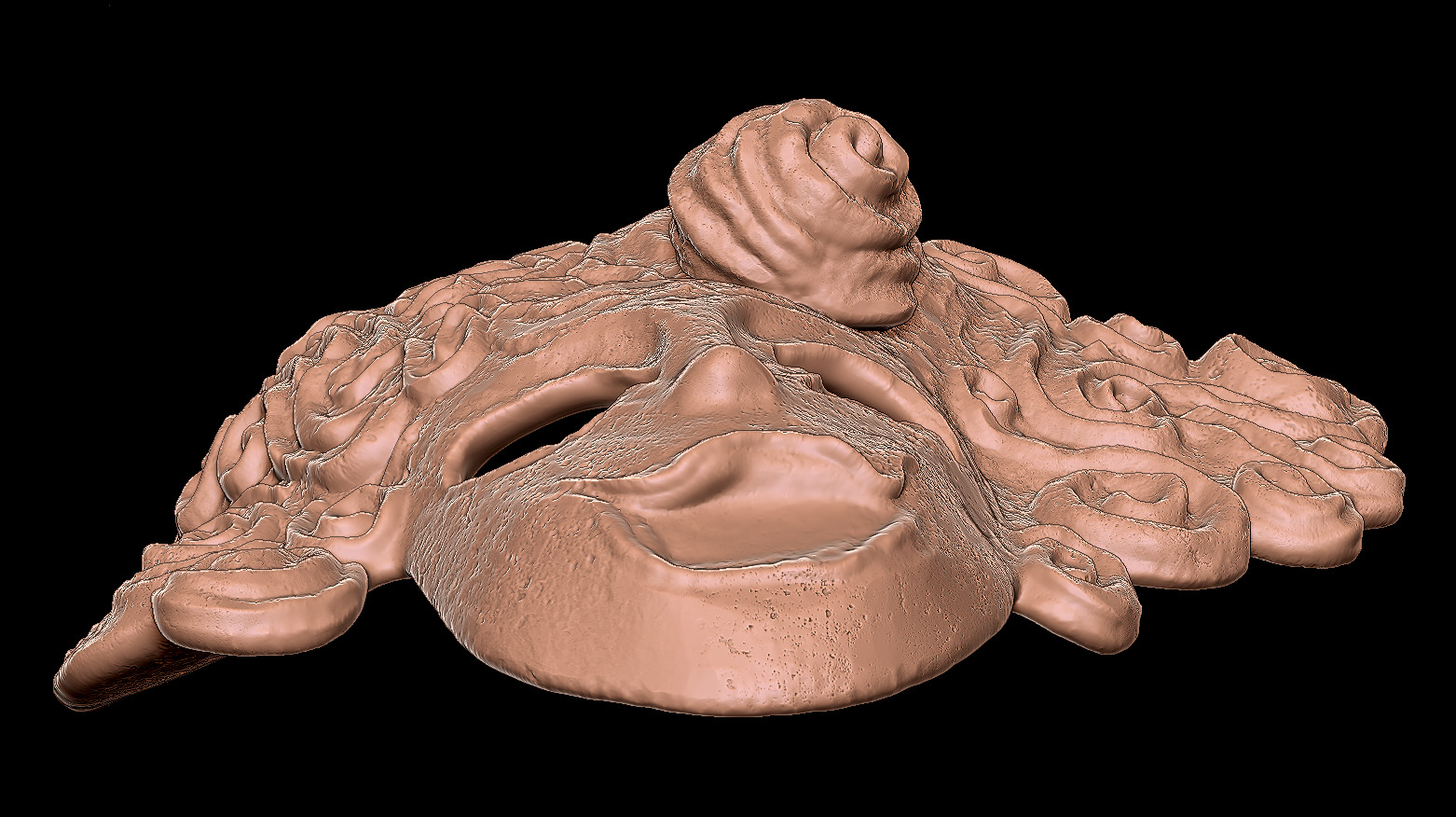 MASK OF THE CHILD - DARK SOULS 1 - WALL DISPLAY AND COSPLAY PROP 3D print model_4