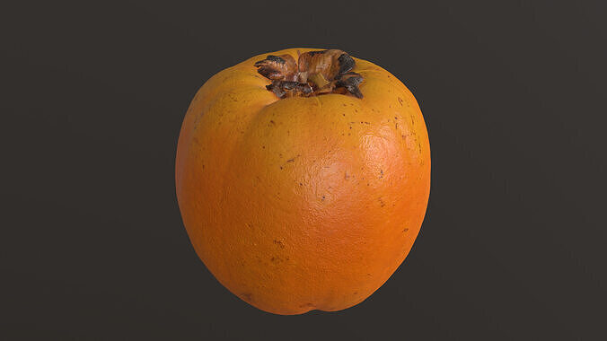 High-Resolution Persimmon 3D Scan 01 3D model