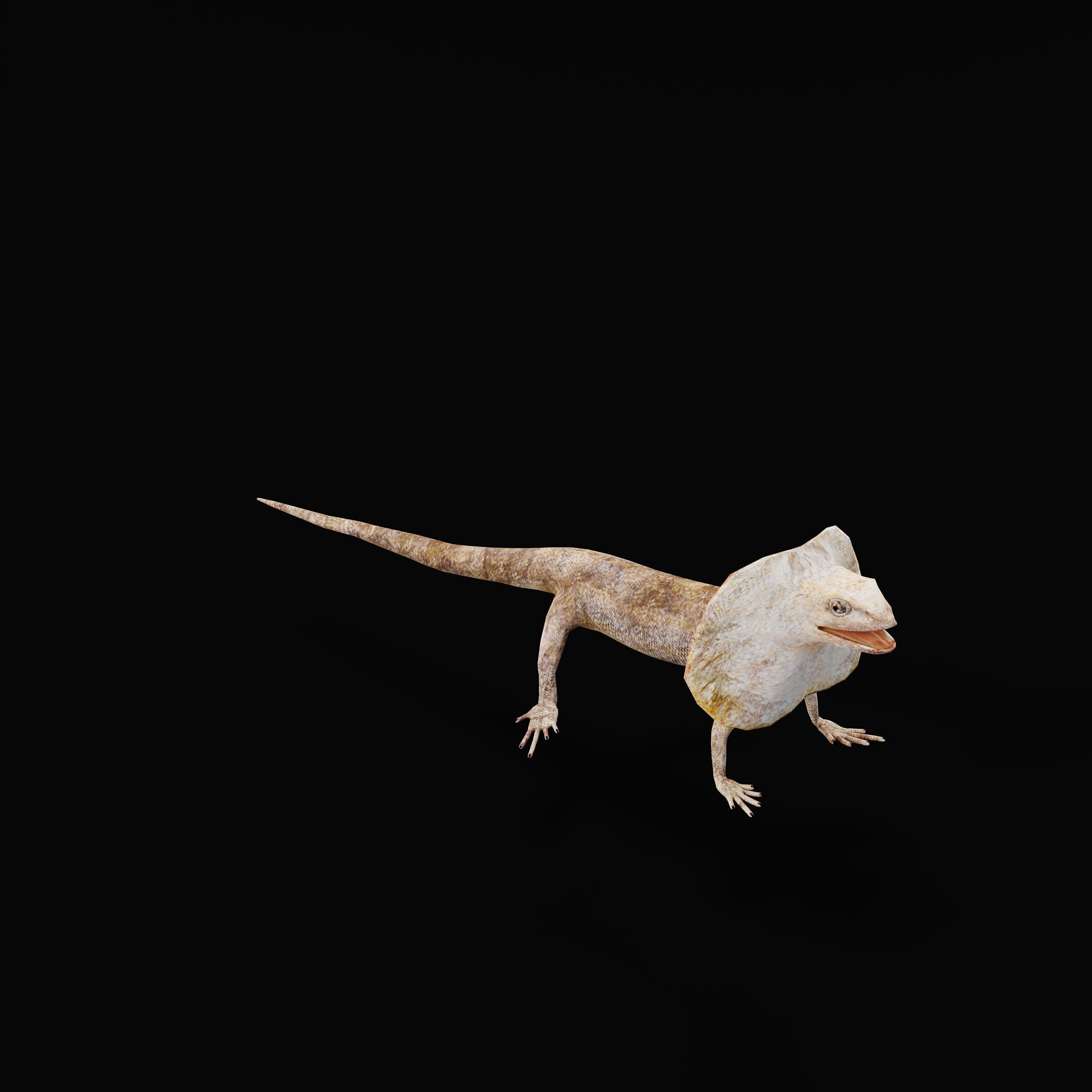Filled Neck Lizard Low-poly 3D model_45