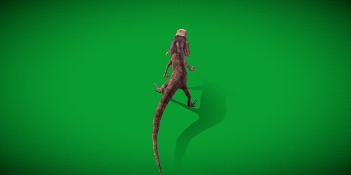 Filled Neck Lizard Low-poly 3D model_8