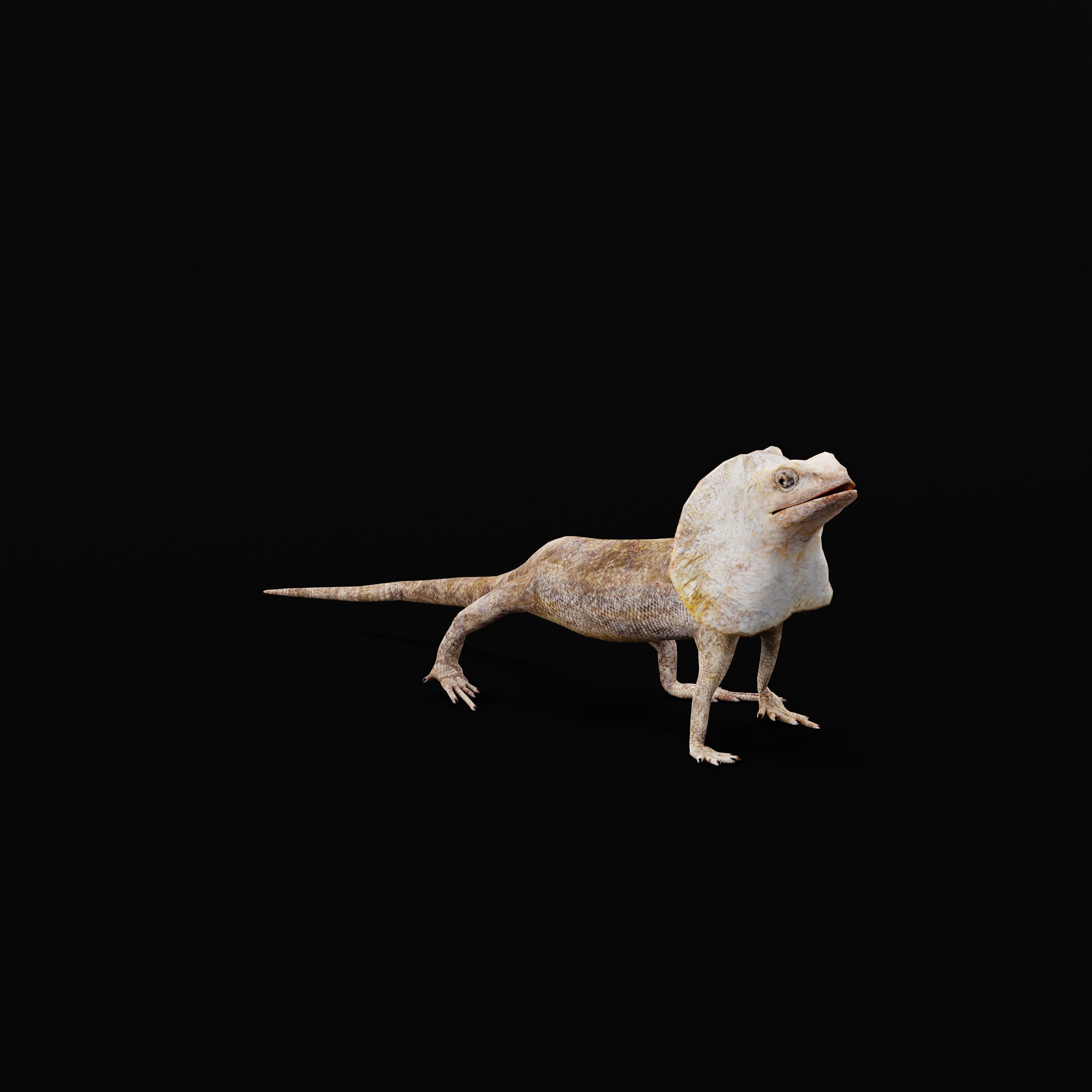 Filled Neck Lizard Low-poly 3D model_38