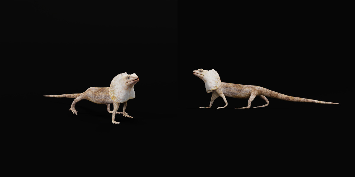 Filled Neck Lizard Low-poly 3D model_5