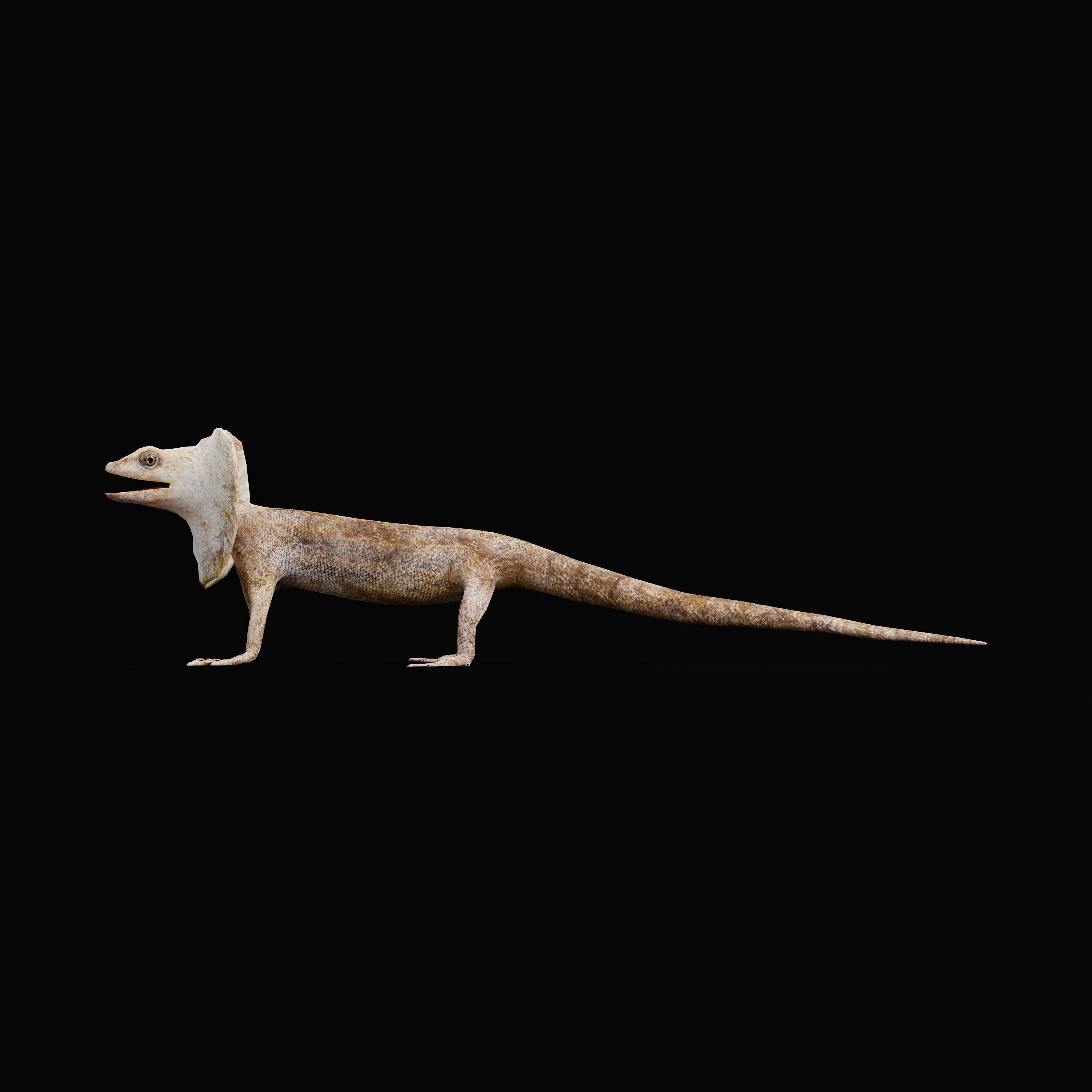 Filled Neck Lizard Low-poly 3D model_44