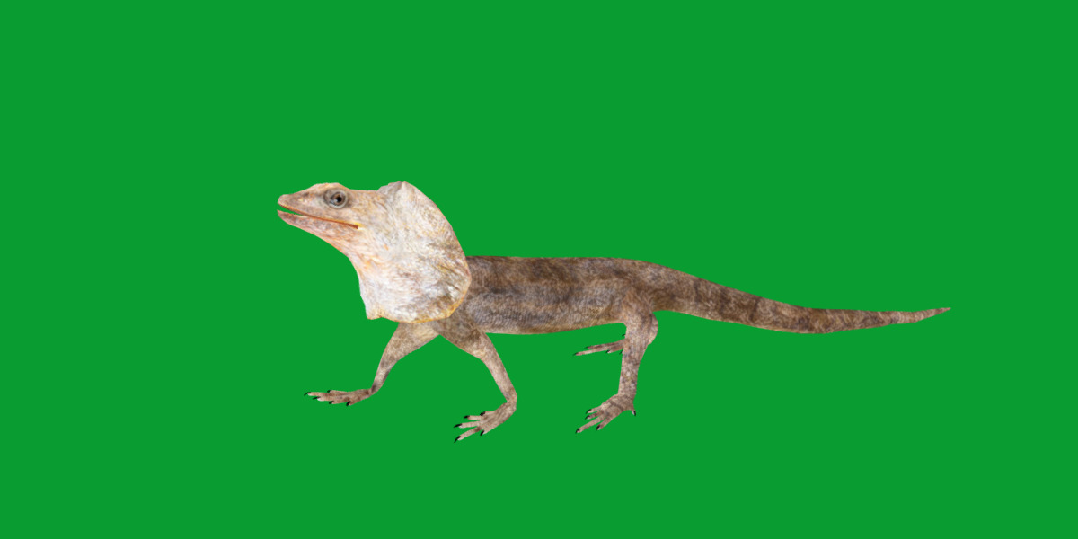Filled Neck Lizard Low-poly 3D model_28
