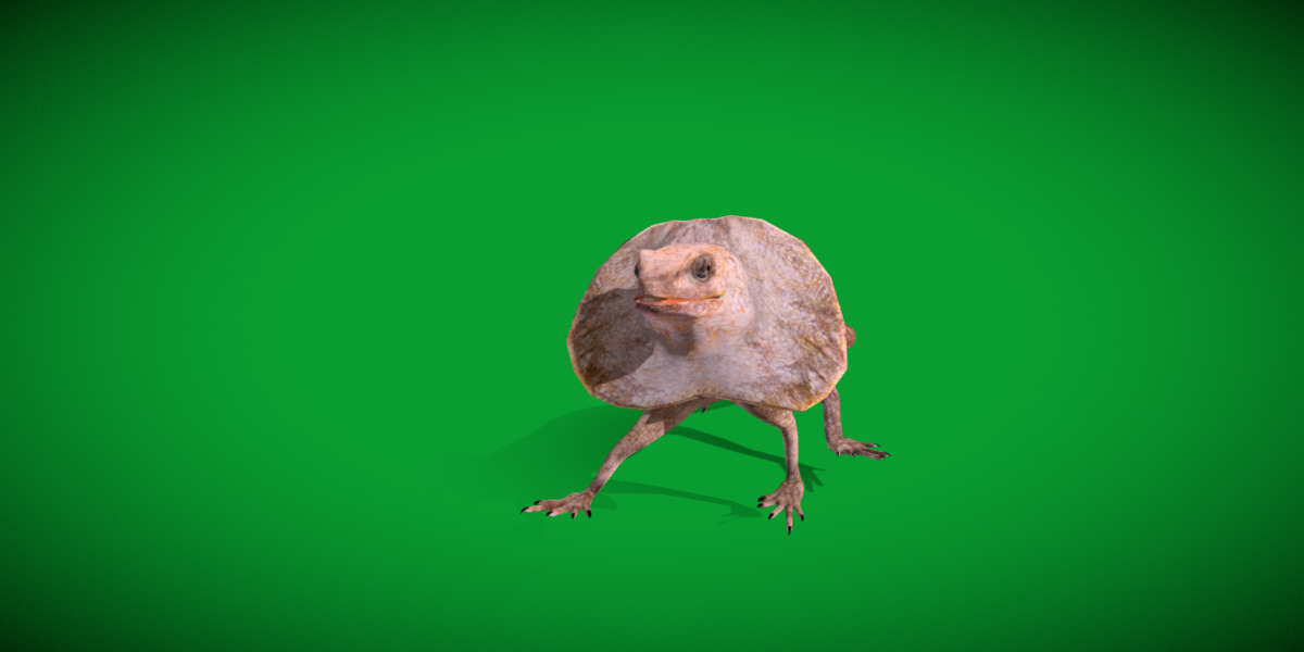 Filled Neck Lizard Low-poly 3D model_33