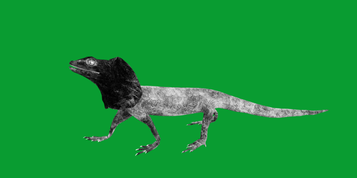 Filled Neck Lizard Low-poly 3D model_14