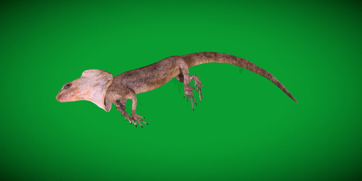 Filled Neck Lizard Low-poly 3D model_9