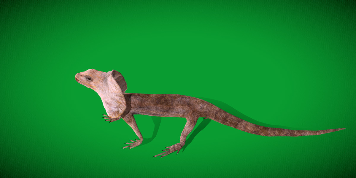 Filled Neck Lizard Low-poly 3D model_16