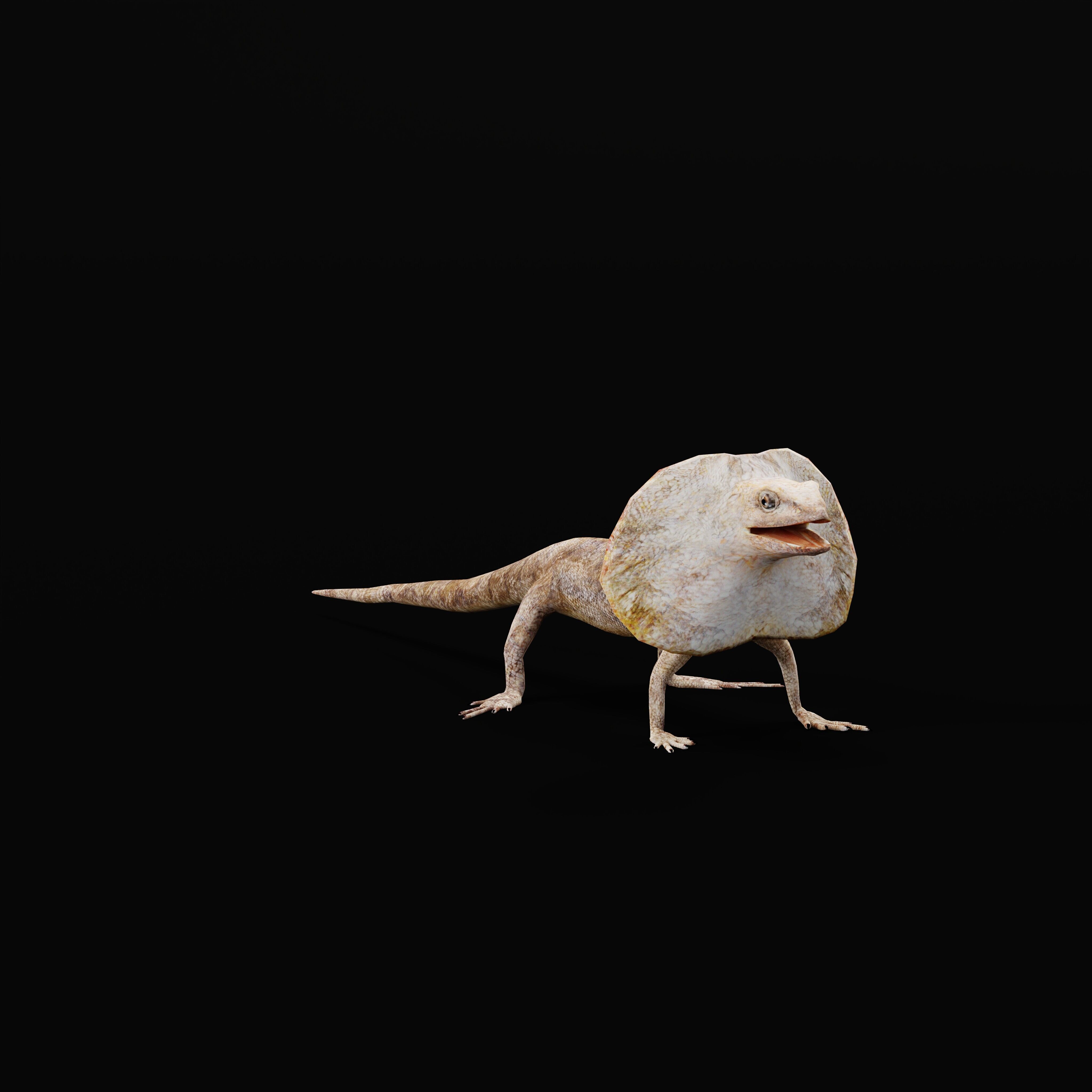 Filled Neck Lizard Low-poly 3D model_43