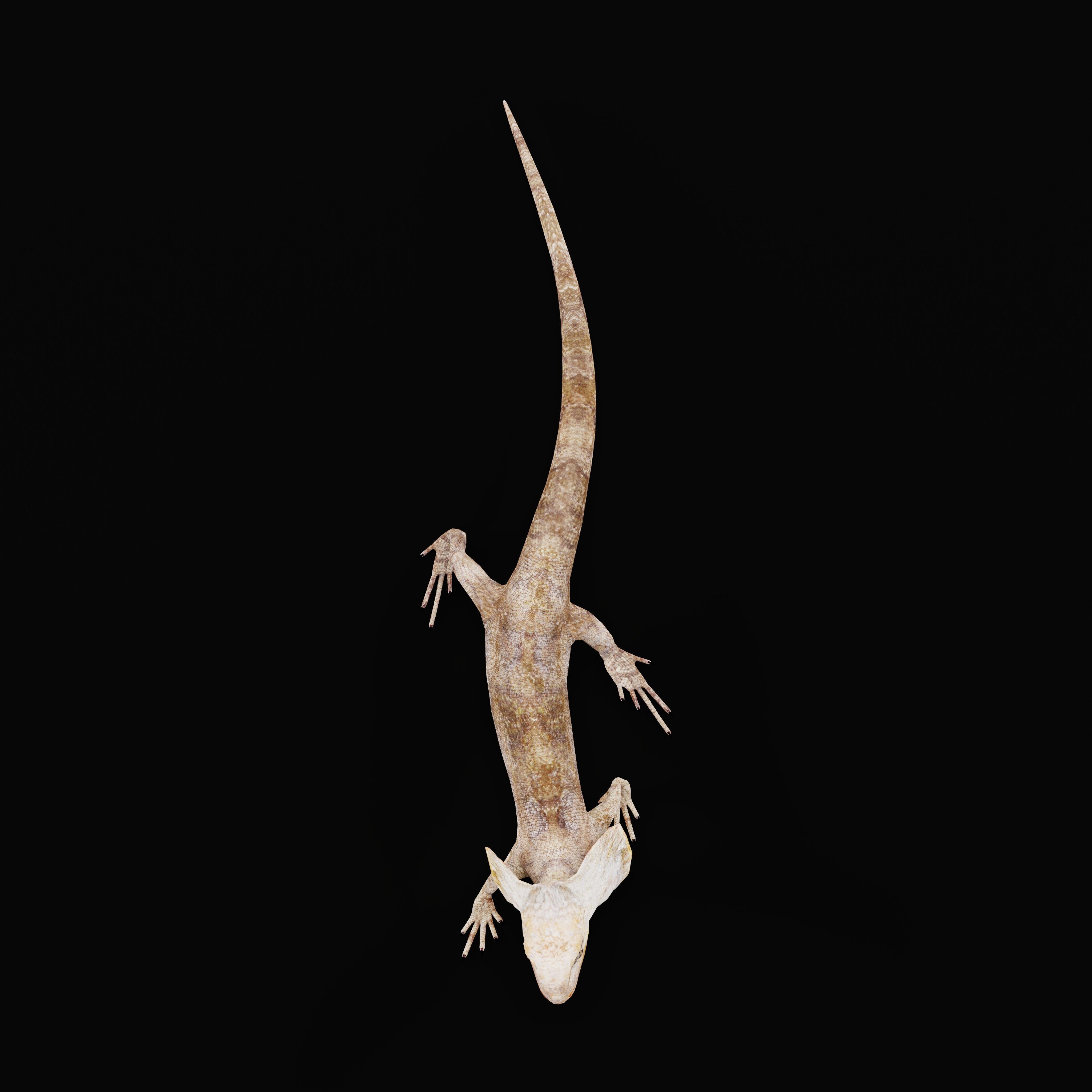 Filled Neck Lizard Low-poly 3D model_40