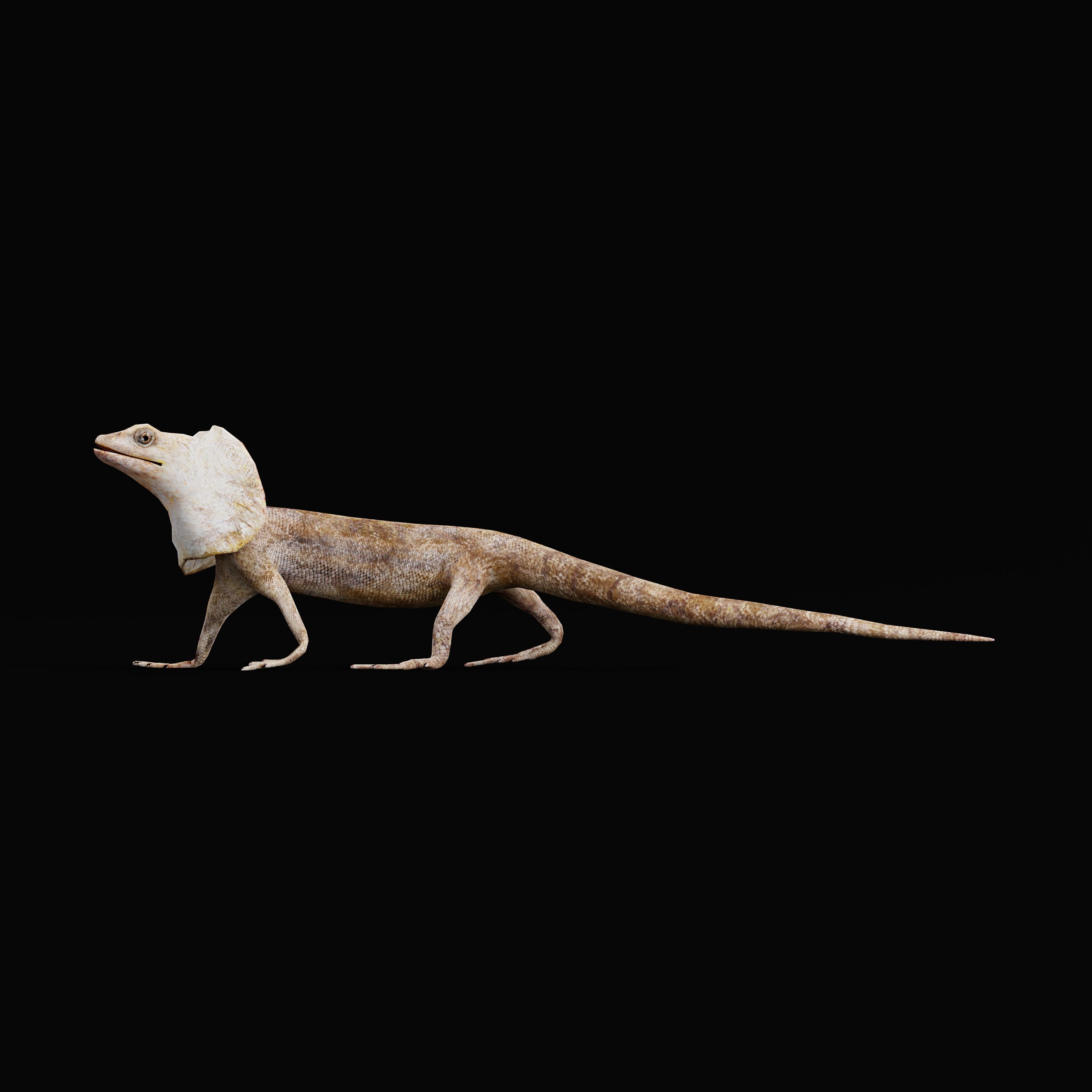 Filled Neck Lizard Low-poly 3D model_39