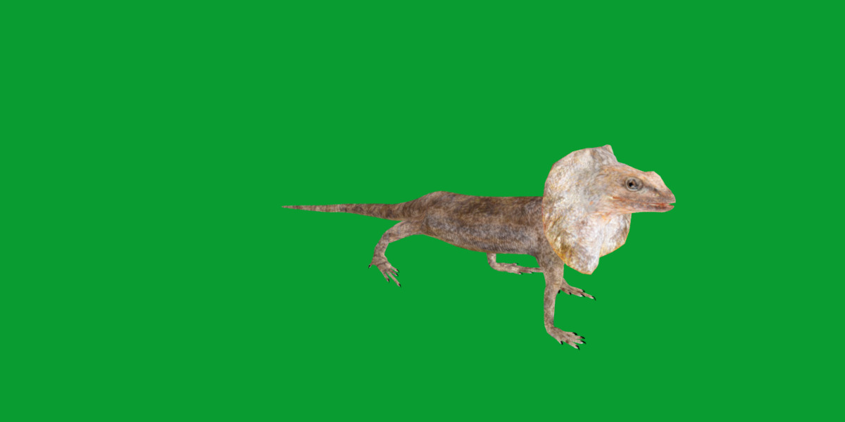 Filled Neck Lizard Low-poly 3D model_30