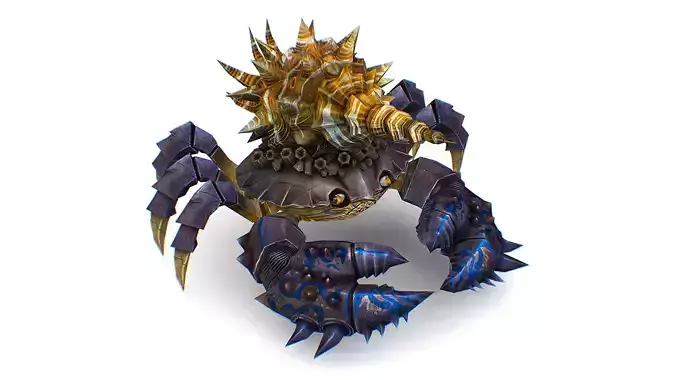 Blue Giant Crab Shell Crayfish Arthropods Sea Animal