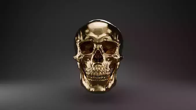 Human Skull - High Fidelity - Gold and Bone material included