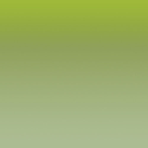 Hippeastrum Flowers 3D Model for 3ds Max 3D model_2