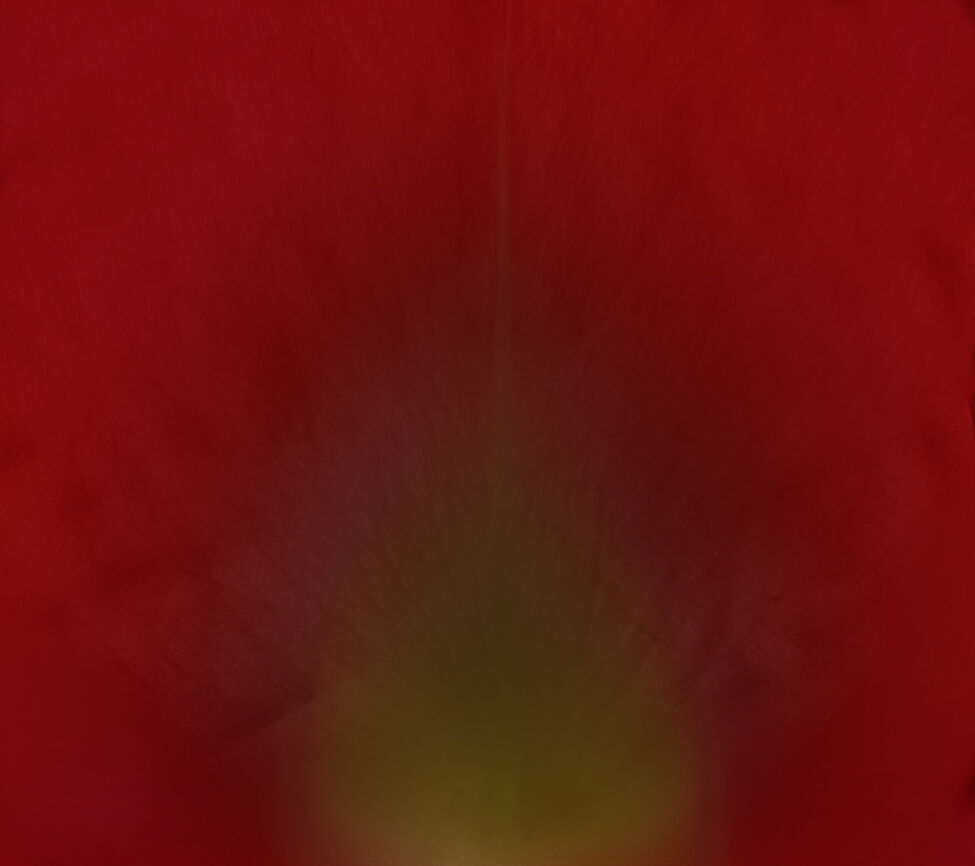 Hippeastrum Flowers 3D Model for 3ds Max 3D model_4