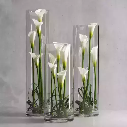 White Callas 3D Model for 3ds Max